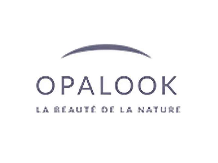 Logo Opalook